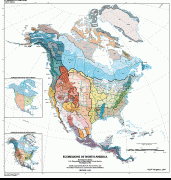 Zemljevid-Severna Amerika-ecoregions-north-america.gif